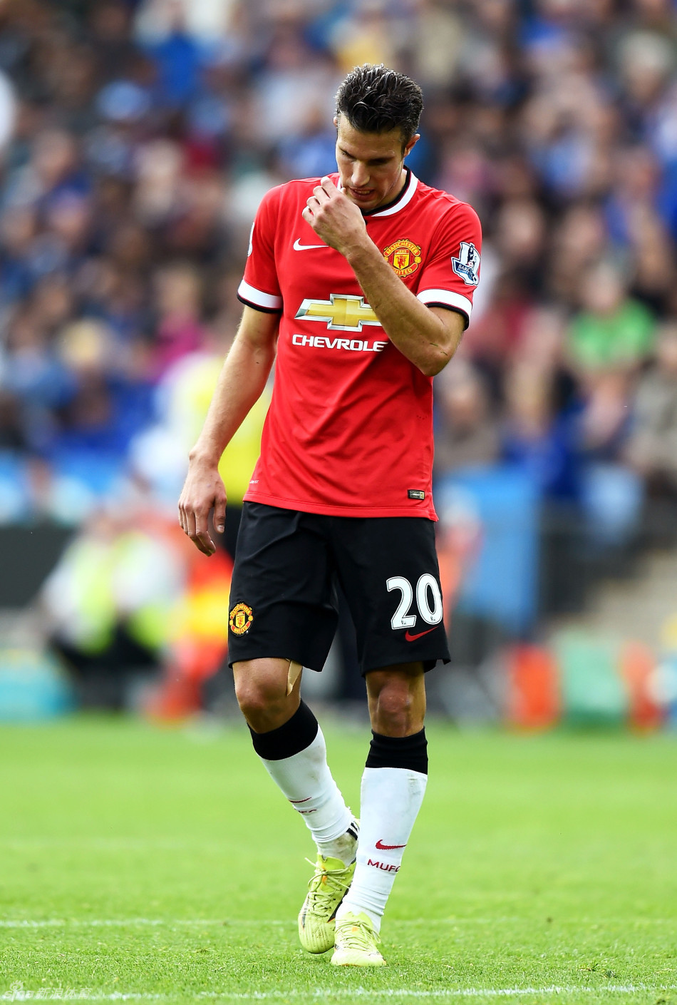 英超前瞻：海鸥斗黑猫！布莱顿陷入低迷，桑德兰近况稍好（英超前瞻：海鸥迎战黑猫，布莱顿低迷难振，桑德兰走势稍优）